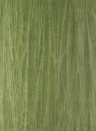 Arte Wallpaper Pyxis - Iguana