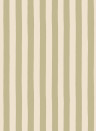 Josephine Munsey Carta da parati Medium Hand Painted Stripe - Southern Light/ Parsnip