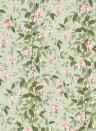 Cole & Son Tapete Fuchsia - Powder Pink and Olive on Soft Spring Green