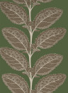 Thibaut Papier peint Lacinato - Wild Sage