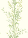 Cole & Son Carta da parati Bamboo - Green