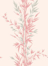 Cole & Son Carta da parati Bamboo - Pink