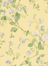 Cole & Son Wallpaper Sweet Pea Yellow