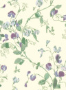 Cole & Son Wallpaper Sweet Pea Violet
