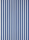 Tapete Closet Stripe von Farrow & Ball - Pointing/ Blue