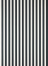 Farrow & Ball Wallpaper Closet Stripe Pointing/ Off-Black
