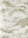 Clarke & Clarke Carta da parati Earthscape - Linen/ Mocha