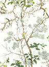 Thibaut Carta da parati Katsura - Green and White