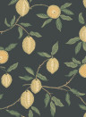 Sandberg Tapete Limone - Charcoal