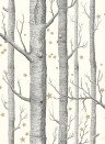 Cole & Son Papier peint Woods & Stars - Black/ White