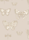 Cole & Son Wallpaper Butterflies & Dragonflies Grey