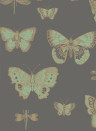 Cole & Son Wallpaper Butterflies & Dragonflies Green/ Charcoal