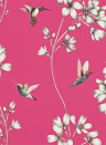 Harlequin Wallpaper Amazilia Flamingo