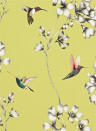 Harlequin Wallpaper Amazilia Gooseberry