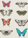 Harlequin Wallpaper  - Flamingo/ Papaya/ Olive