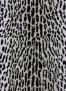 Tapete Pantanal von Osborne & Little - Gilver/ Black