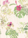 Sian Zeng Wallpaper Spring Wild Rain Wild Rain