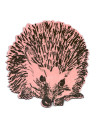 Sian Zeng Magnet Hedgehog - Hedgehog Round Pink