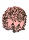 Magnet Hedgehog Round von Sian Zeng - Pink
