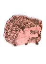 Sian Zeng Magnet Hedgehog - Hedgehog Junior Pink