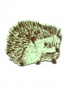 Magnet Hedgehog Junior von Sian Zeng - Green