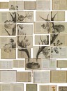 NLXL Wallpaper EKA-02 Bibliotheca EKA-02