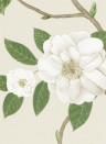 Sanderson Wallpaper Christabel Ivory/ Cream