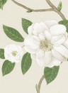 Blumentapete Christabel von Sanderson - Ivory/ Cream