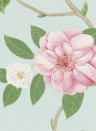 Blumentapete Christabel von Sanderson - Pink/ Sky