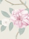 Blumentapete Christabel von Sanderson - Rose/ Pewter