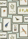 Sanderson Carta da parati Picture Gallery - Aqua/ Multi
