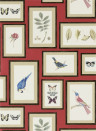Sanderson Carta da parati Picture Gallery - Red/ Multi