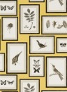 Sanderson Wallpaper Picture Gallery Yellow/ Charcoal