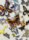 Christian Lacroix Carta da parati Butterfly Parade - Multicolore