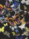 Christian Lacroix Papier peint Butterfly Parade - Oscuro