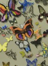 Christian Lacroix Carta da parati Butterfly Parade - Platine