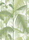Palm Jungle - Designtapete von Cole and Son - Olive Green