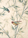 Little Greene Carta da parati Great Ormond Street - Parchment