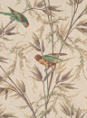 Little Greene Carta da parati Great Ormond Street - Cappuccino