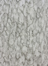 Nina Campbell Wallpaper Kershaw Plain Black/ Ivory