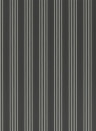 Ralph Lauren Wallpaper Palatine Stripe Sharkskin