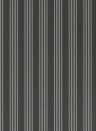 Ralph Lauren Wallpaper Palatine Stripe Sharkskin