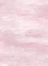 Designers Guild Mural Cielo Pale Rose