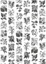 Rebel Walls Mural Fruit & Flora Black/ White