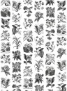Rebel Walls Papier peint panoramique Fruit & Flora - Black/ White