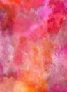 Rebel Walls Mural Colour Clouds Chili