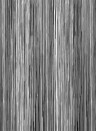 Wandbild Colour Stream von Rebel Walls - Black