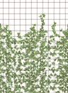 Rebel Walls Mural Climbing Clorofyl Verdant