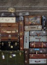 Rebel Walls Papier peint panoramique Stacked Suitcases - Large Heap