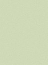 Cole & Son Papier peint Pebble - Duck Egg